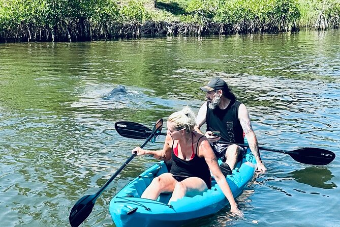Dolphin and Manatee Kayak and SUP Adventure Tour of Cocoa Beach - Timing, weather, and practical planning