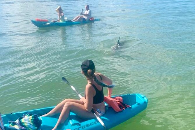 Dolphin and Manatee Kayak Tour of Daytona Beach - Paddling the Halifax River near Daytona Beach