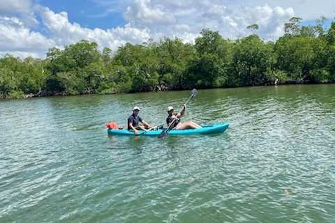 Dolphin and Manatee Kayak Tour of Daytona Beach - How the price compares with the experience