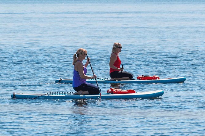 Dolphin and Manatee Stand Up Paddleboard Tour in Daytona Beach - Starting with a lesson instead of a struggle