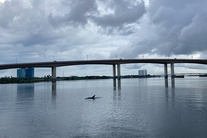Dolphin and Manatee Stand Up Paddleboard Tour in Daytona Beach - Who will enjoy this most
