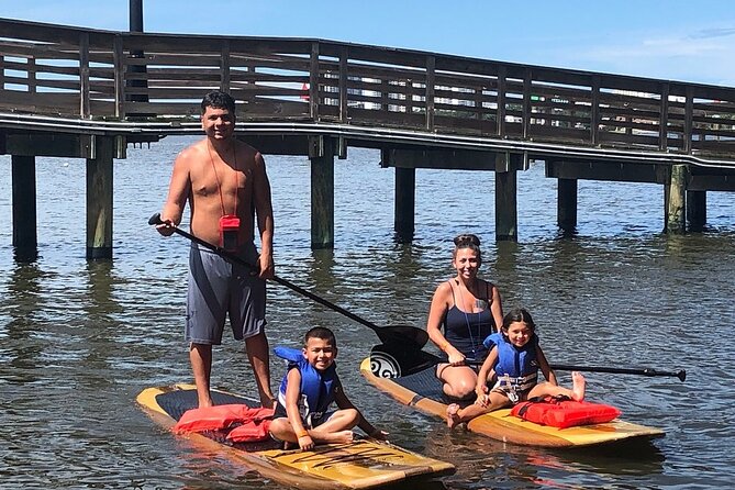 Dolphin and Manatee Stand Up Paddleboard Tour in Daytona Beach - Around the island and under seven bridges