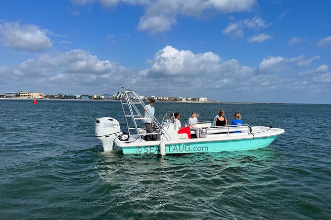 Dolphin and Nature Boat Excursion - Starting at Avenida Menendez in St. Augustine
