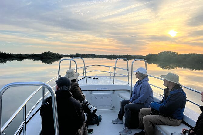 Dolphin and Nature Boat Excursion - Looking for Atlantic bottlenose dolphins