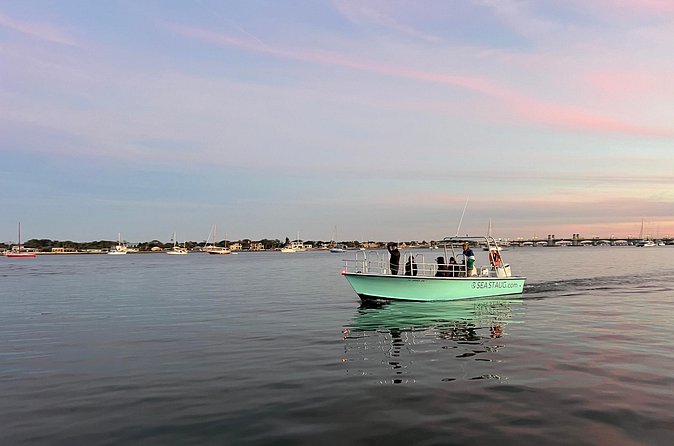 Dolphin and Nature Boat Excursion - What the 90-minute itinerary feels like