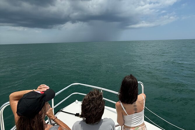 Dolphin and Nature Boat Excursion - Weather, timing, and the limits of wildlife trips