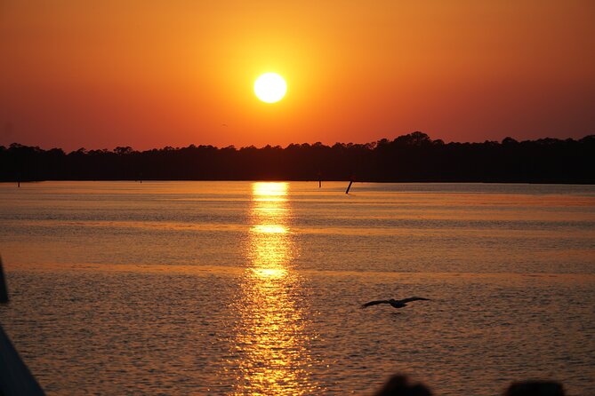 Dolphin and Nature Sunset Cruise from Orange Beach - Key points to know before you book