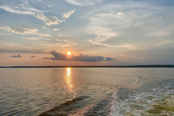 Dolphin and Nature Sunset Cruise from Orange Beach - Who will enjoy this cruise most