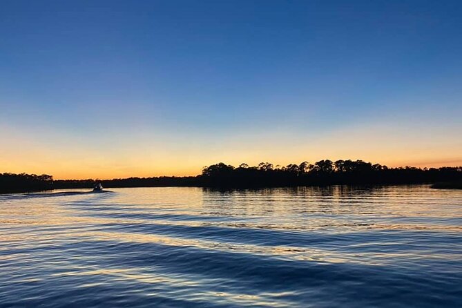 Dolphin and Nature Sunset Cruise from Orange Beach - The dolphin search and what you might see