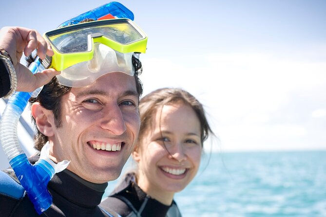 Dolphin and Seal snorkel adventure from Sorrento - Group size, timing, and comfort