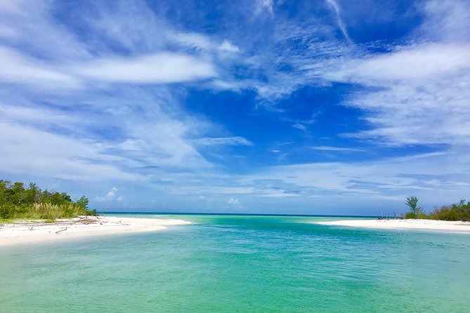 Dolphin and Shelling Cruise for up to 12 people - The barrier island stop and what shelling is really like