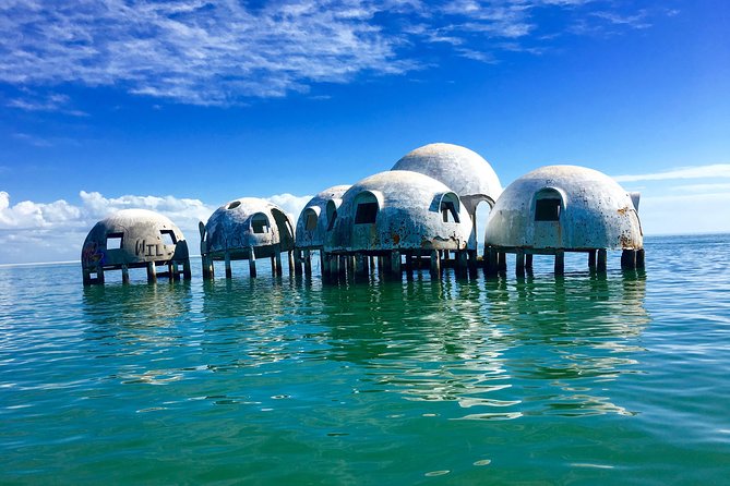Dolphin and Shelling Cruise for up to 12 people - Why the 12-person limit matters