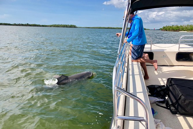 Dolphin and Shelling Cruise for up to 12 people - The captains shape the experience