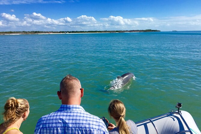 Dolphin and Shelling Cruise for up to 12 people - Price, timing, and overall value