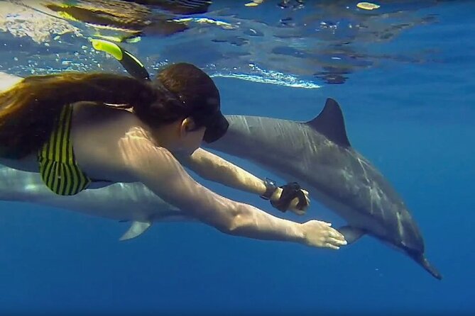 Dolphin and Tumbatu Island Snorkeling Tour with Pickup - What the crew adds to the experience