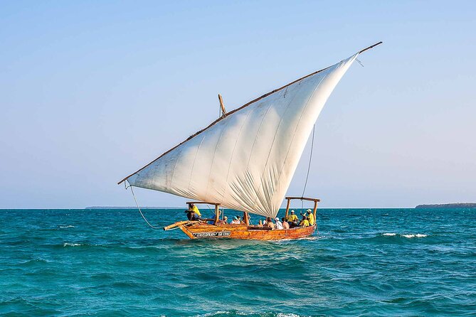 Dolphin and Turtle Tour with Sunset Cruise at Nungwi Beach - What you actually see beneath the water