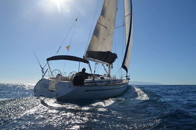 Dolphin and Whale Sailing Tour in Los Gigantes - Key points before you book