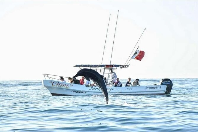 Dolphin and Whale Watching Boat Trip in Puerto Escondido - A small group with useful flexibility