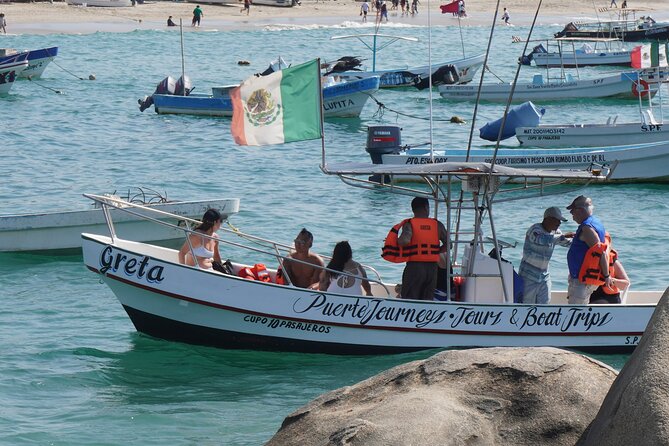 Dolphin and Whale Watching Boat Trip in Puerto Escondido - Turtles, manta rays, and humpback whales