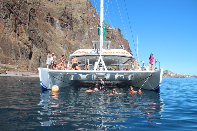 Dolphin and Whale Watching Catamaran Cruise from Funchal - How much value do you get for $48.27?