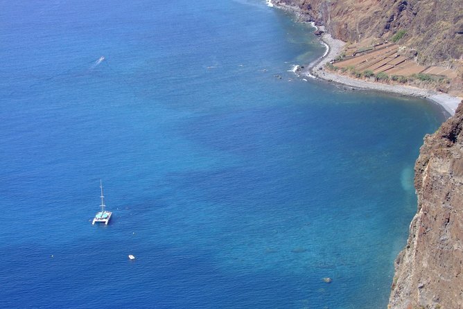 Dolphin and Whale Watching Catamaran Cruise from Funchal - Practical planning for your departure