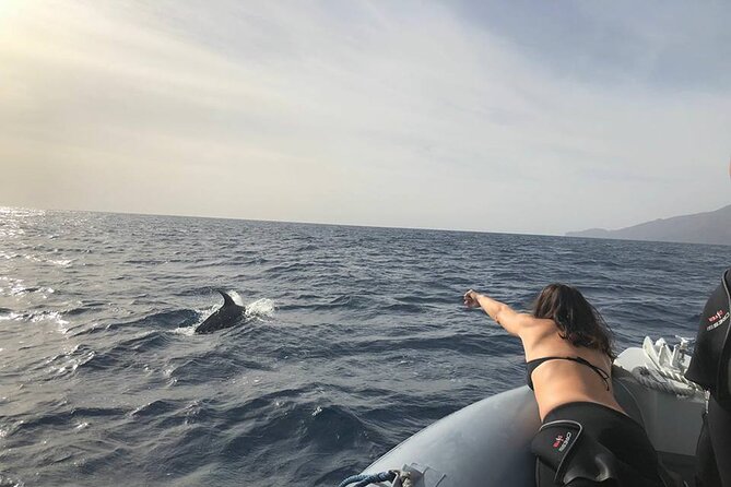 Dolphin and Whale Watching in La Restinga - Leaving La Restinga for El Hierro’s southern waters