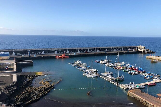 Dolphin and Whale Watching in La Restinga - A swim at Playa de las Alcuzas