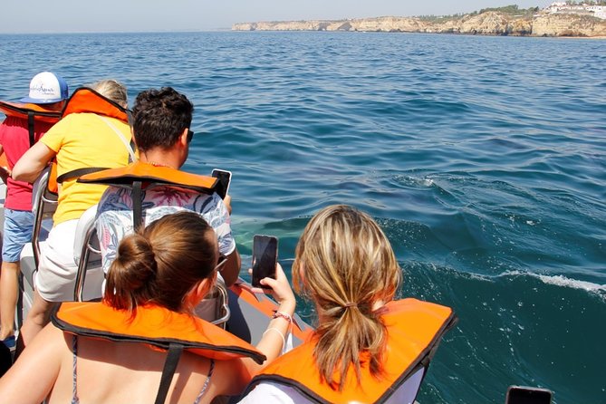 Dolphin and Whale Watching in Lagos - The value of a 90-minute search
