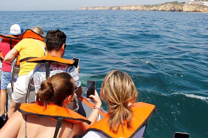 Dolphin and Whale Watching in Lagos - Who should book this Lagos boat trip