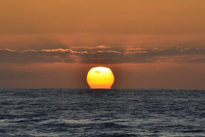 Dolphin and Whale Watching Sunset Cruise - What the crew adds to the trip