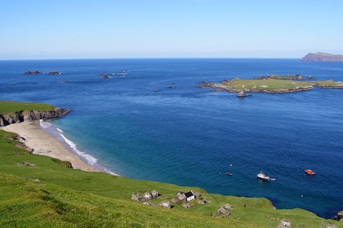Dolphin and Whale Watching Tour from Dingle - What the four-hour cruise is really like