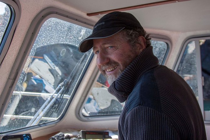 Dolphin and Whale Watching Tour from Dingle - Ventry Pier makes a practical starting point