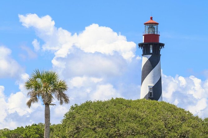 Dolphin and Wildlife Adventure of St. Augustine - Key things to know before booking
