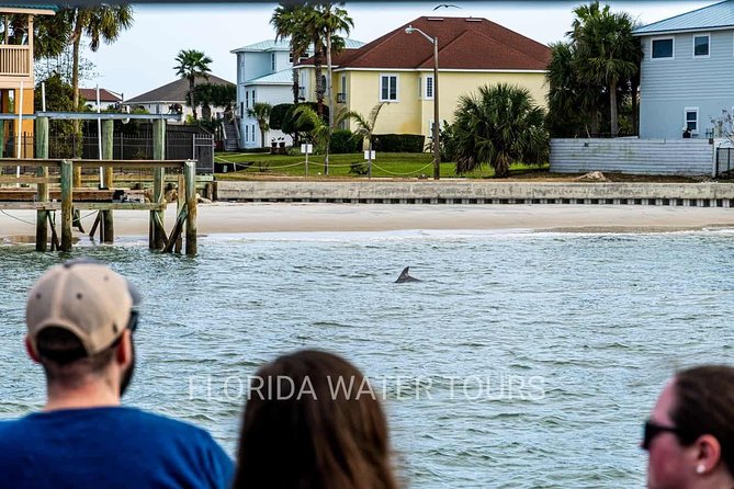 Dolphin and Wildlife Adventure of St. Augustine - Watching for dolphins and other wildlife