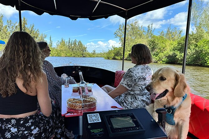 Dolphin Boat Tour in Vero Beach - A quiet way to search the Indian River Lagoon