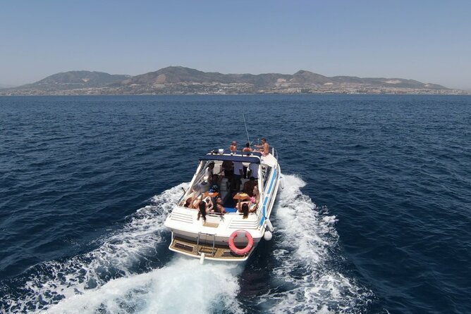 Dolphin Boat Trip in Benalmadena - Who Will Enjoy This Boat Trip Most