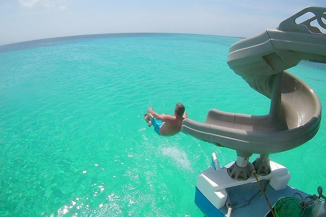 Dolphin Catamaran Snorkel and Sail with Open Bar - At a glance