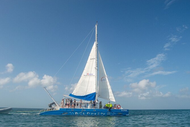 Dolphin Catamaran Snorkel and Sail with Open Bar - The Antilla gives the trip its main story
