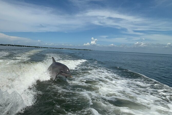 Dolphin cruise in Santa Rosa Beach - A private look at Choctawhatchee Bay