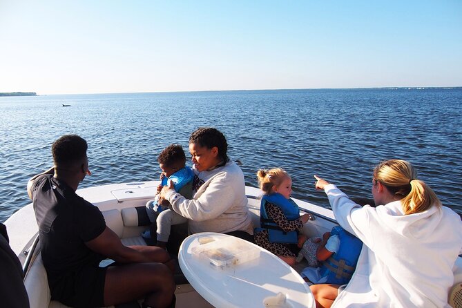 Dolphin cruise in Santa Rosa Beach - What the 2 to 4-hour outing feels like