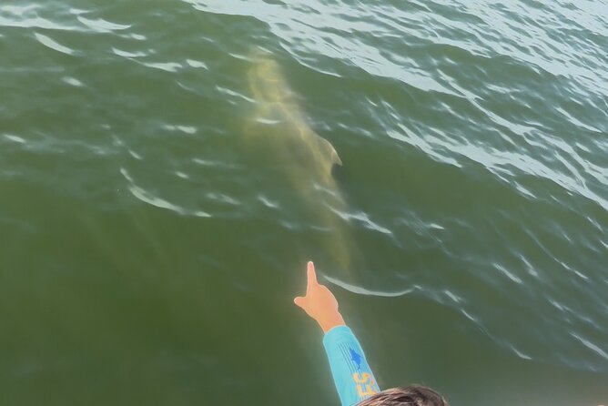Dolphin cruise in Santa Rosa Beach - Water time, exploration, and a bathroom onboard