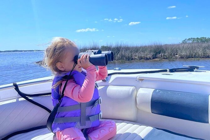 Dolphin cruise in Santa Rosa Beach - Practical details before you book