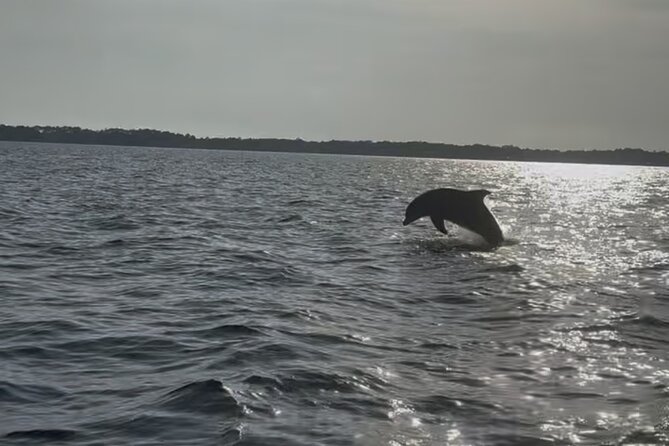 Dolphin cruise in Santa Rosa Beach - Dolphin watching without a large crowd