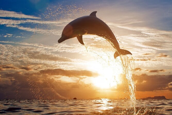 Dolphin Discovery Adventure in Hurghada - Sofa and banana boat rides