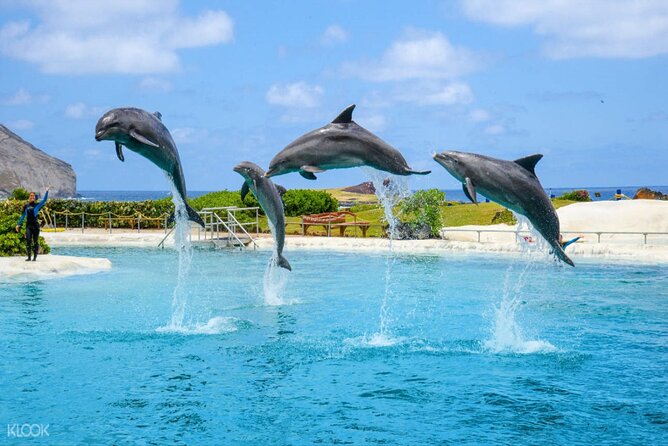 Dolphin Discovery Adventure in Hurghada - Fishing before the return to Hurghada