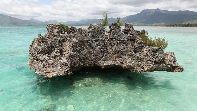 Dolphin Encounters, Ile aux Benitier & Crystal rock: Full-Day (Lunch & Transfer) - Key points to know before booking