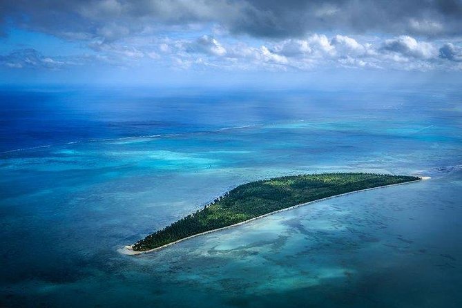 Dolphin Encounters, Ile aux Benitier & Crystal rock: Full-Day (Lunch & Transfer) - Dolphins first, with an important ethical question