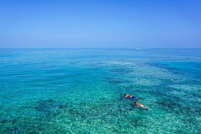 Dolphin Encounters, Ile aux Benitier & Crystal rock: Full-Day (Lunch & Transfer) - A long lunch stop on Ile aux Benitiers