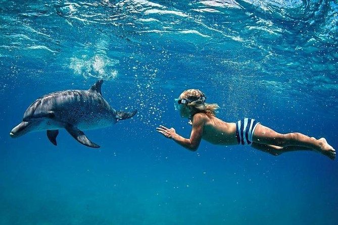 Dolphin Encounters, Ile aux Benitier & Crystal rock: Full-Day (Lunch & Transfer) - Crystal Rock and the Le Morne view