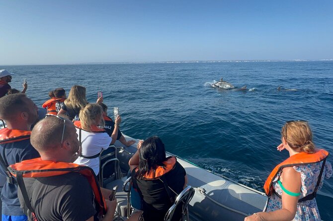 Dolphin Expedition Shared Speedboat tour with Biologist guide - São Francisco Monastery and the 1755 earthquake
